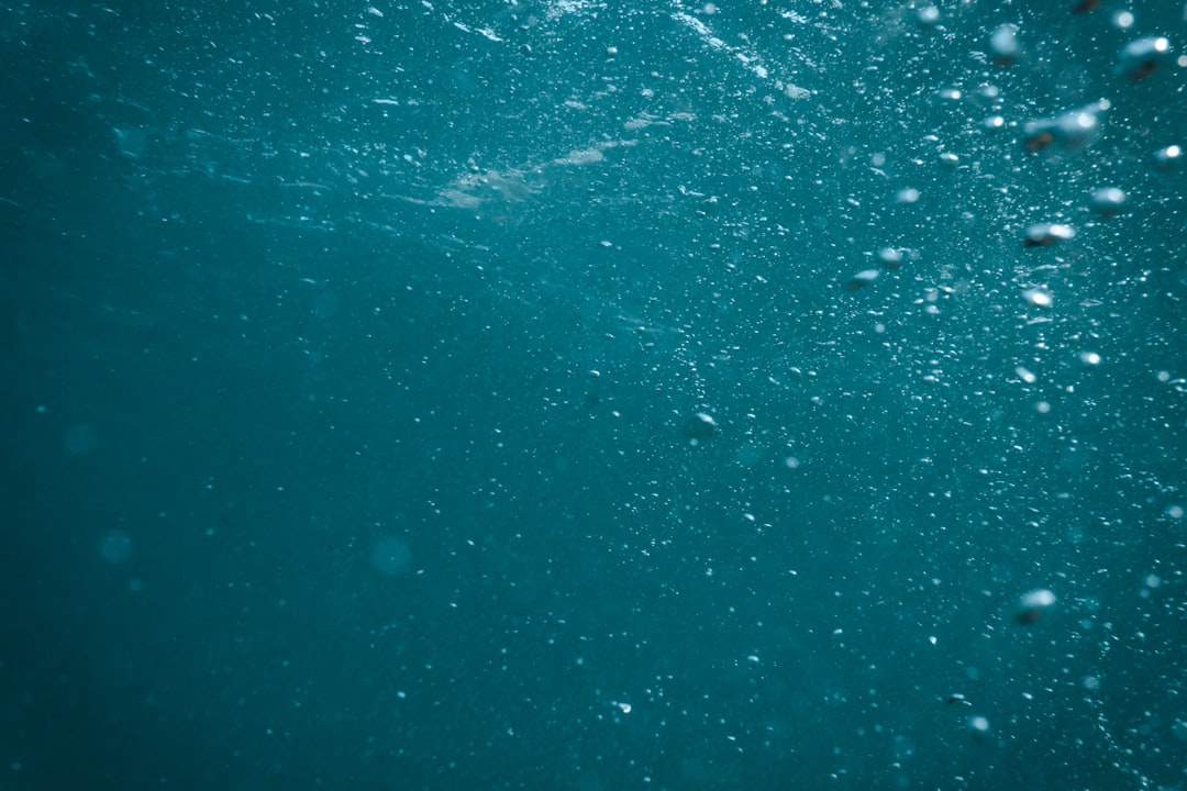 photo of Te Arai Underwater near Tawharanui Peninsula