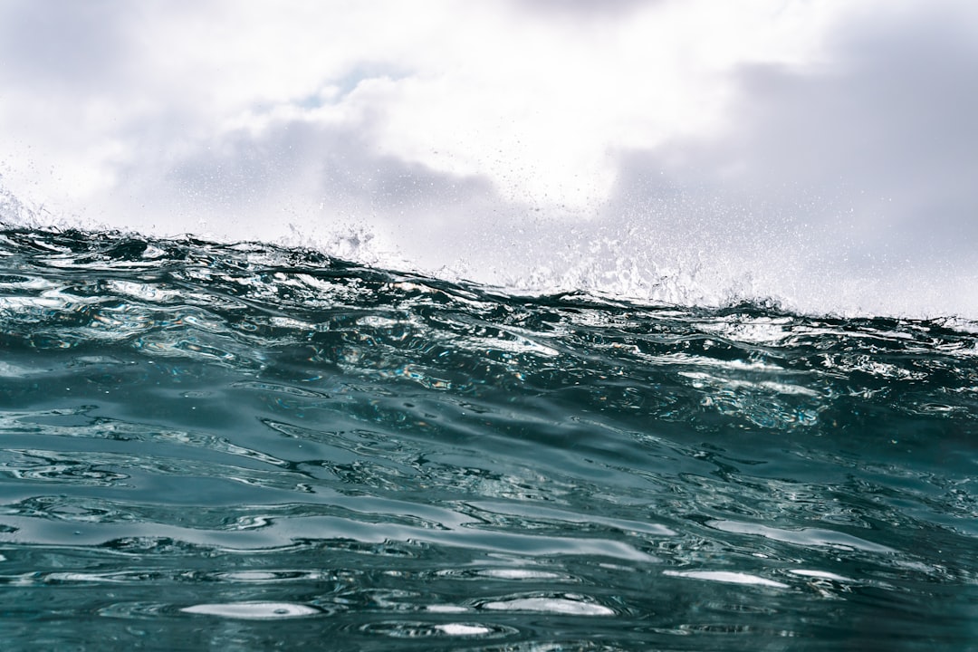 Ocean photo spot Te Arai Muriwai Beach