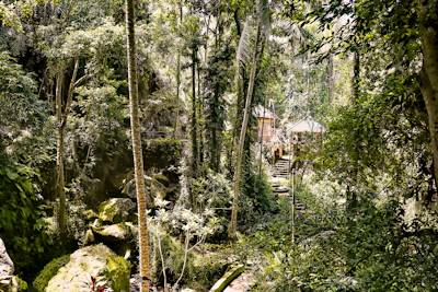 Lush tropical rainforest and traditional indigenous village in Panama.