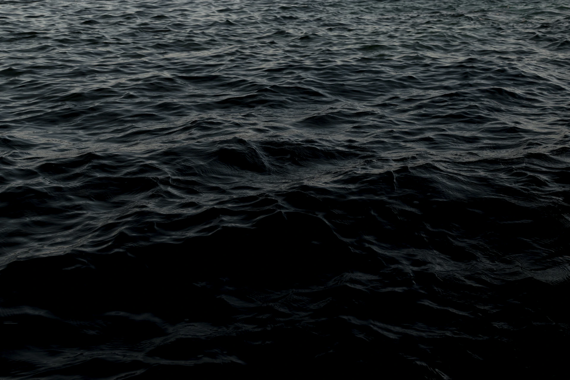 body of water during daytime