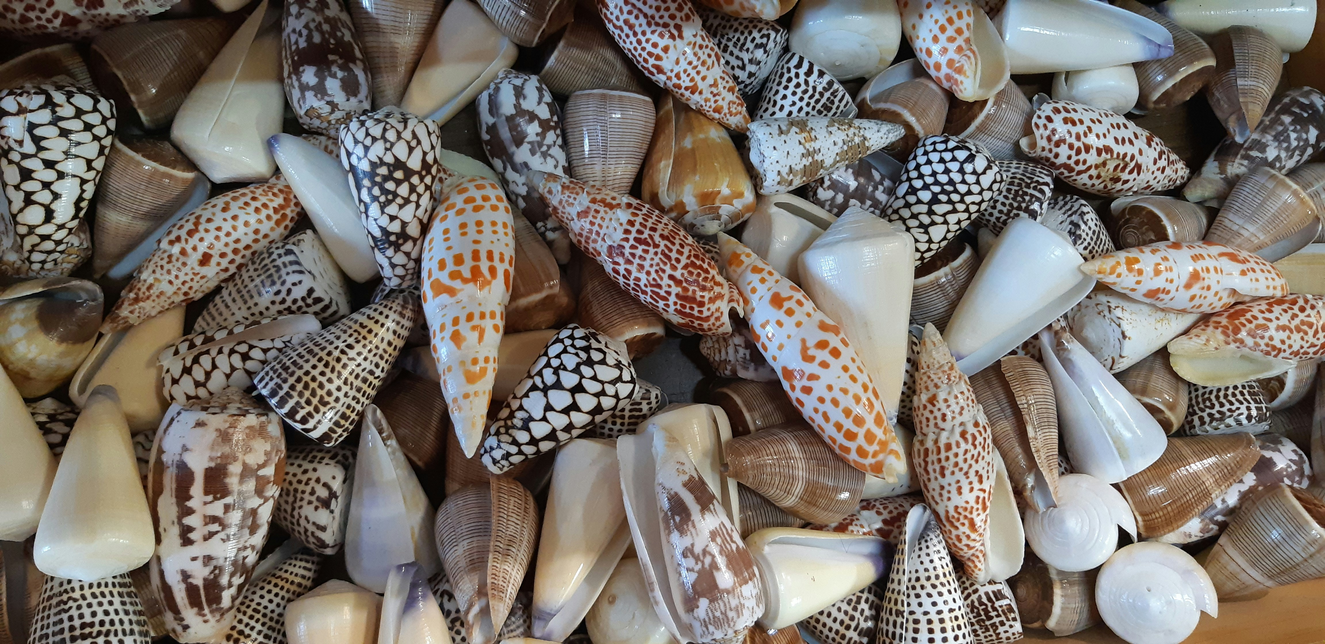 Photo by reneeconoulty