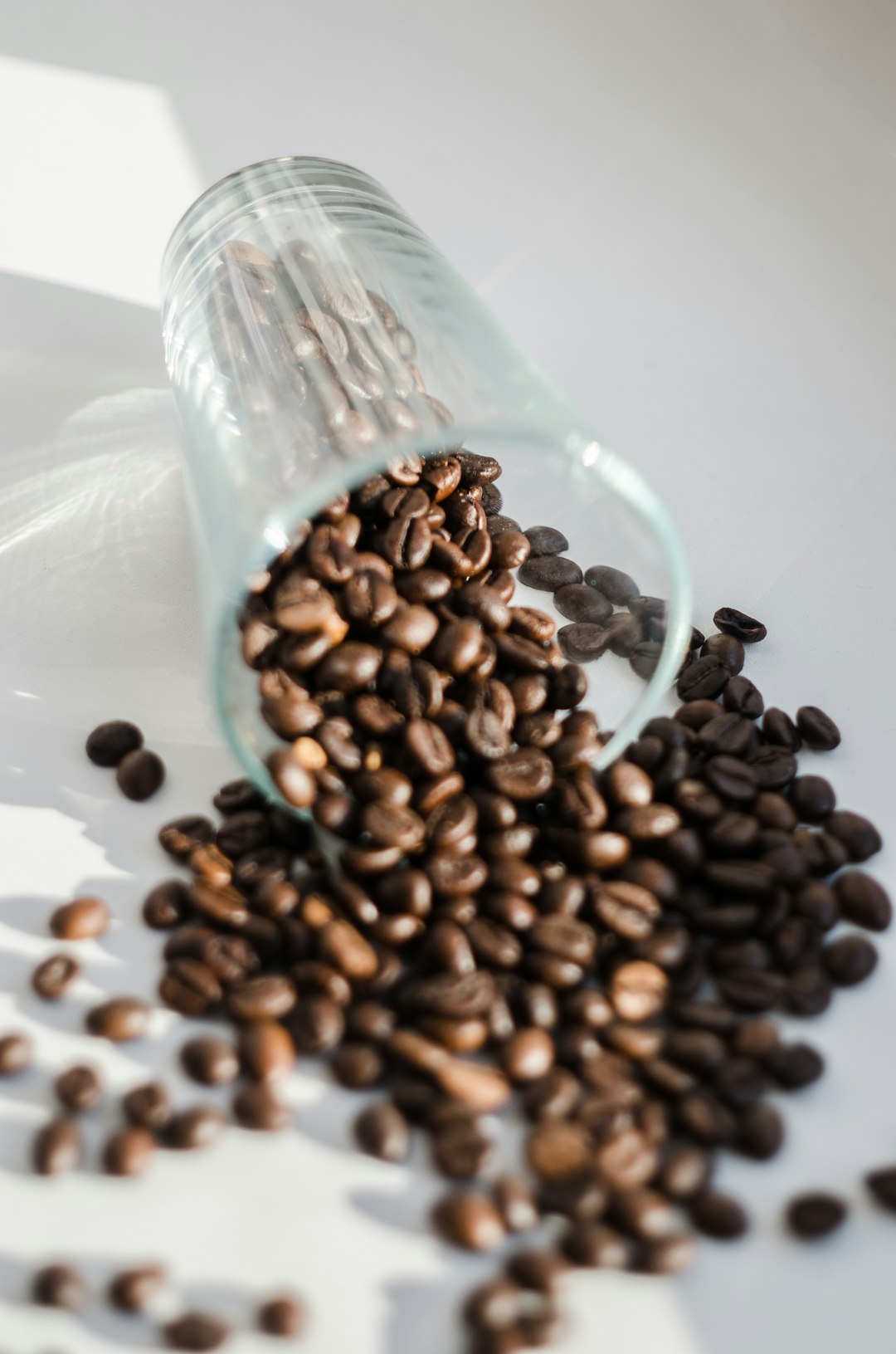 coffee beans on white ceramic plate