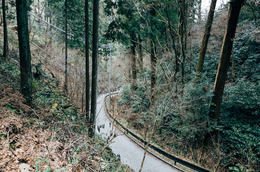 gray concrete road between green trees during daytime