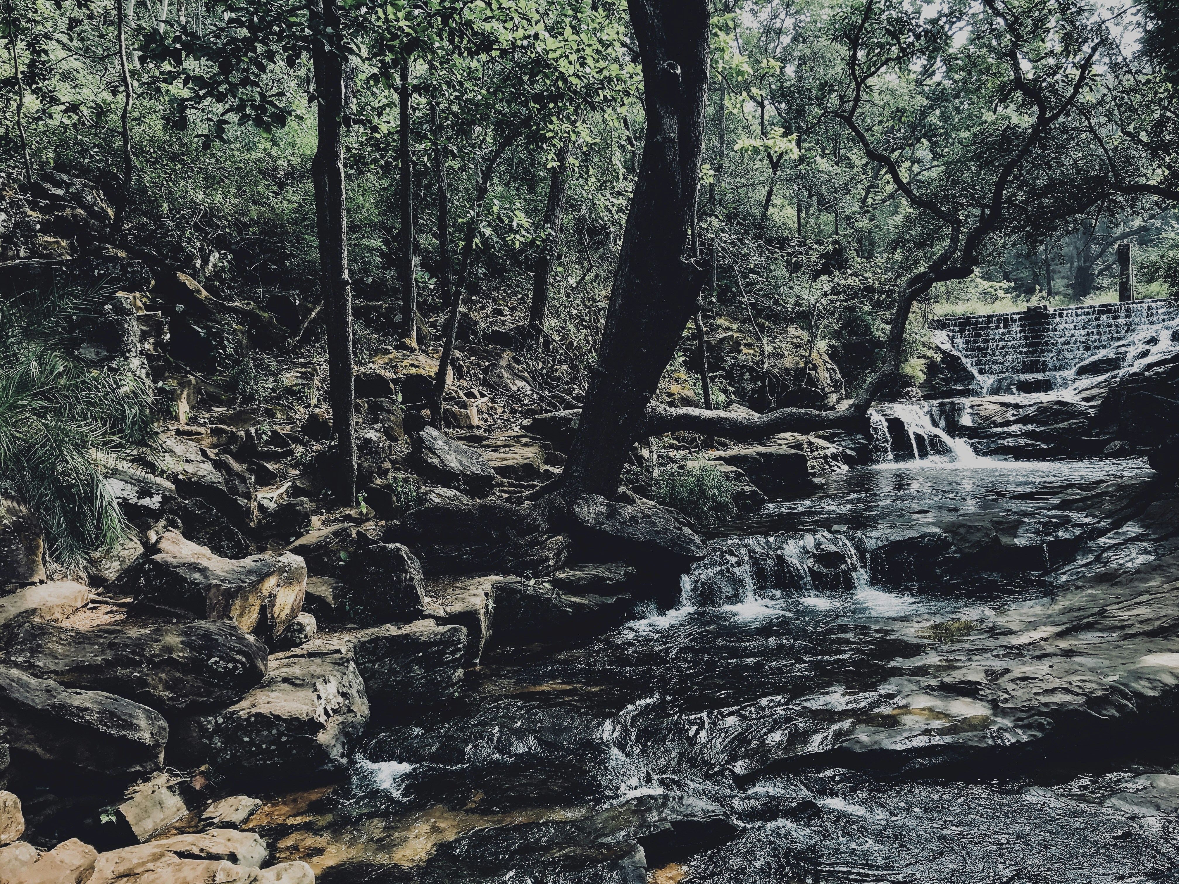 Photo by blindpolaroid