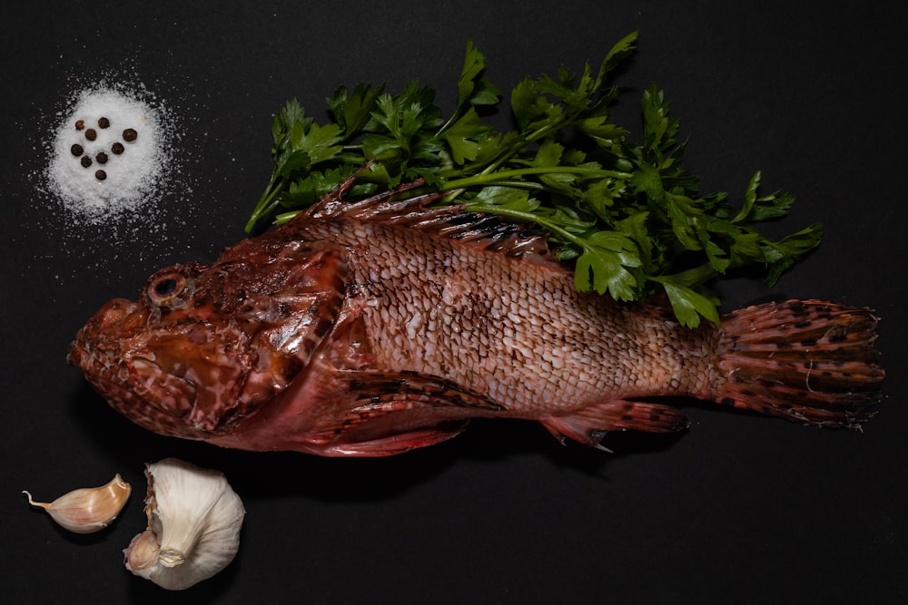 brown and white fish on black surface