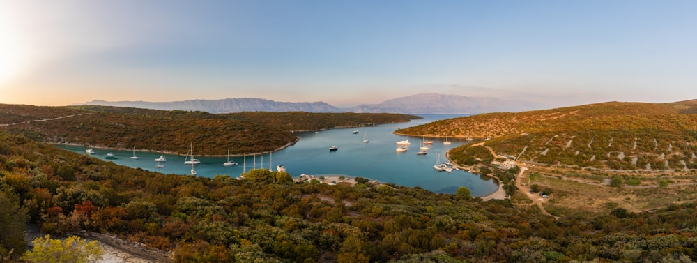 campo di erba verde vicino al lago durante il giorno