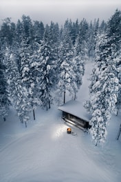 black car on snow covered road during daytime