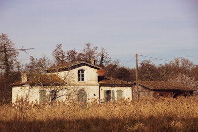 white and brown house near bare trees under white sky during daytime