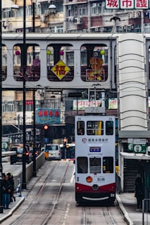 white and green bus on the street during daytime