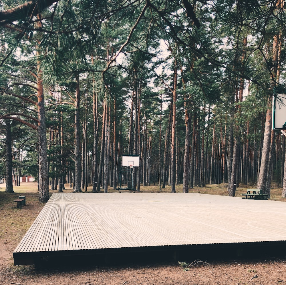 brown wooden bench surrounded by trees