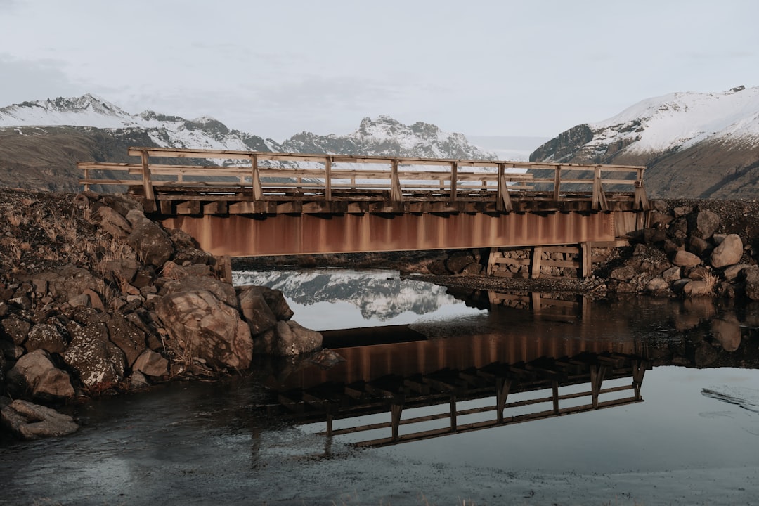 brown wooden bridge over river during daytime