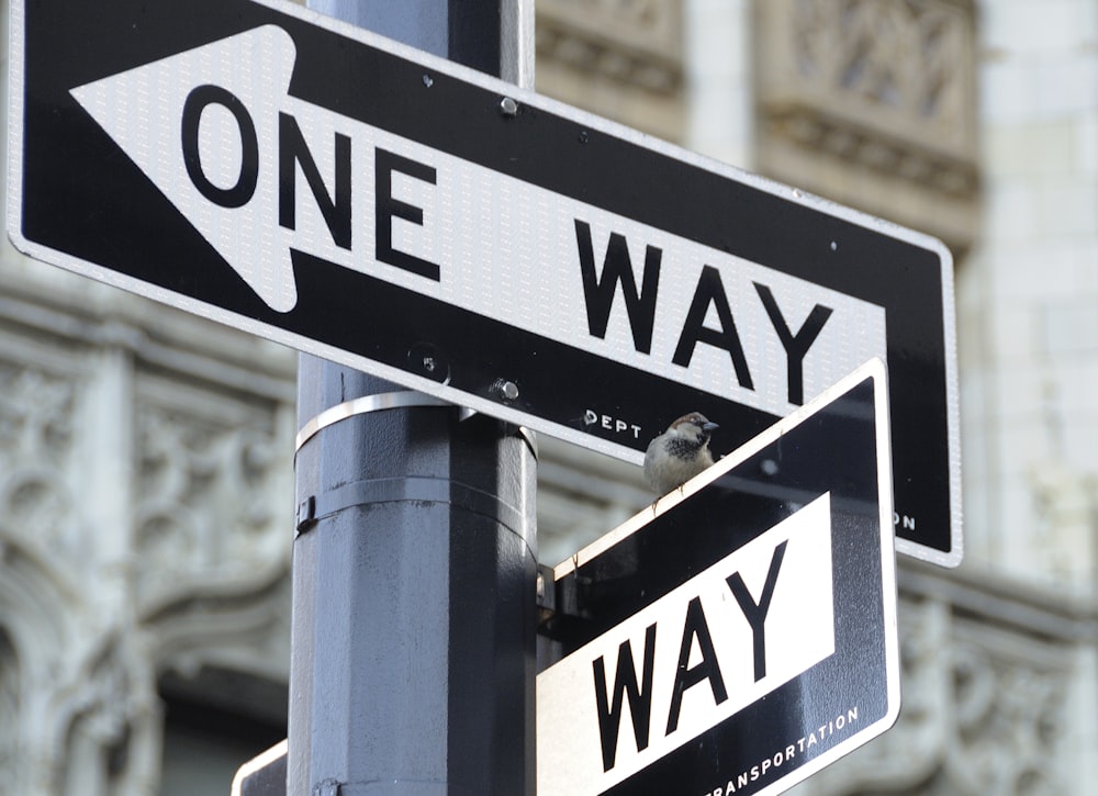 black and white street sign