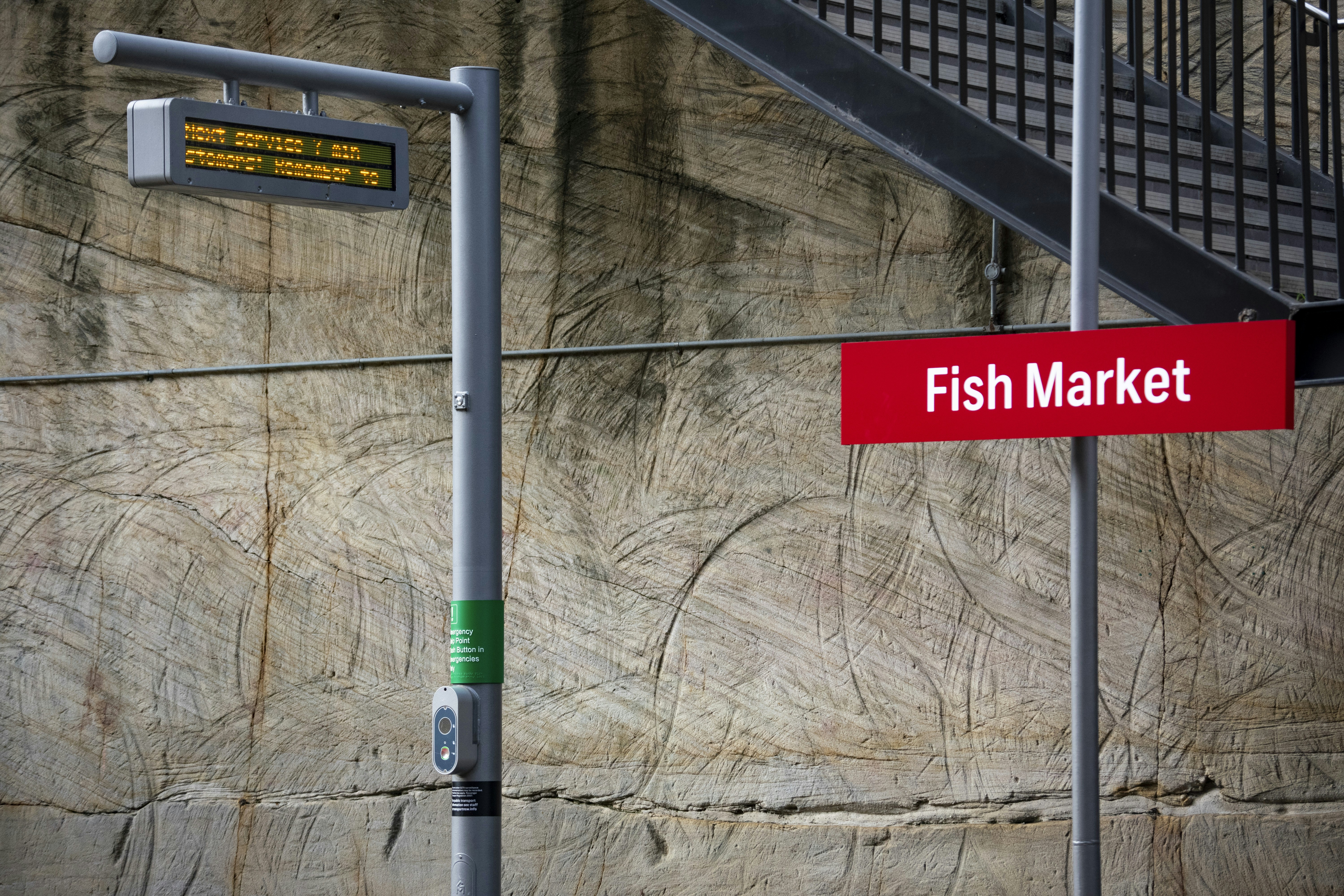 Sydney Fish Market photo 3