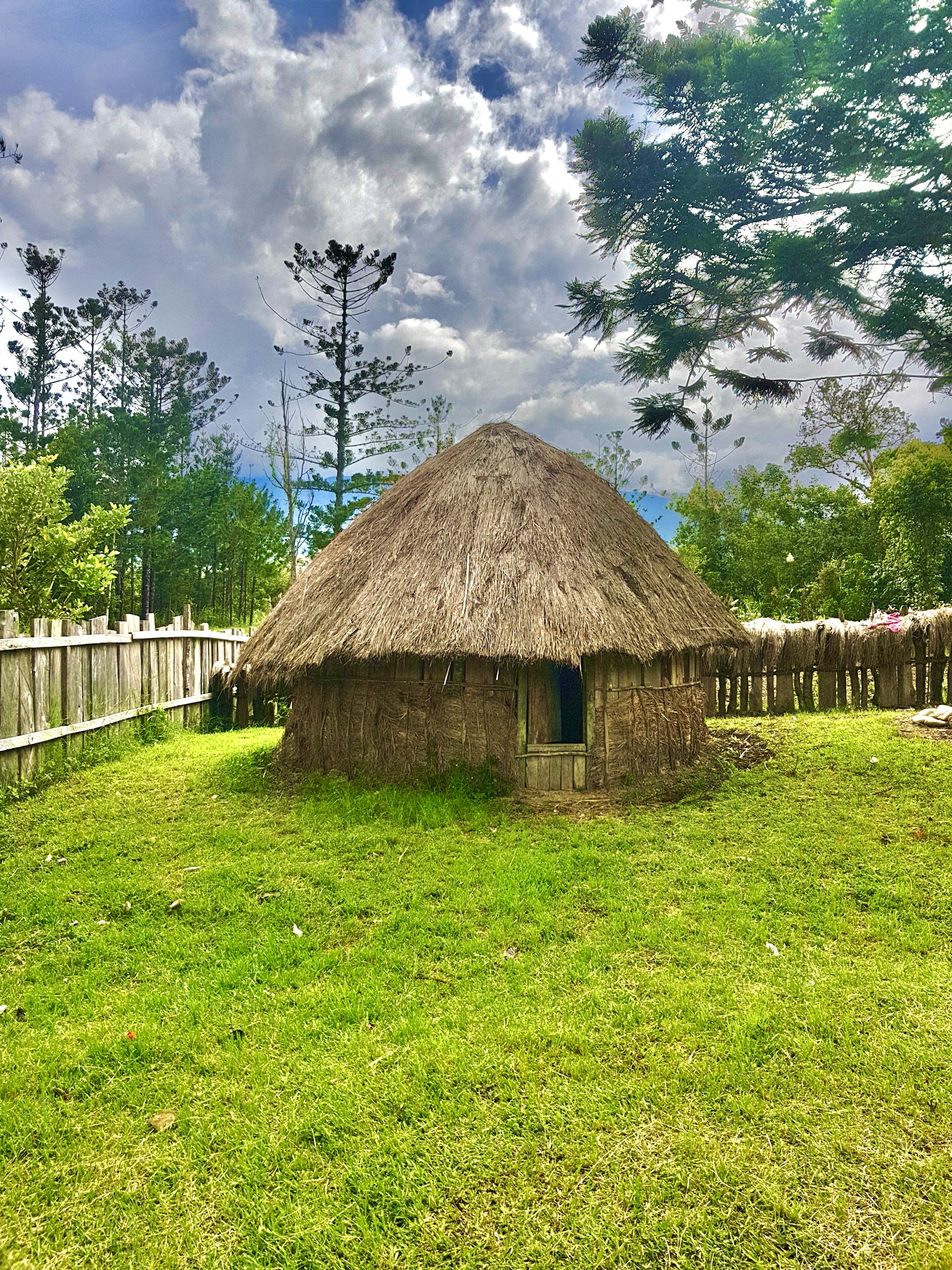 brown wooden house on green grass field