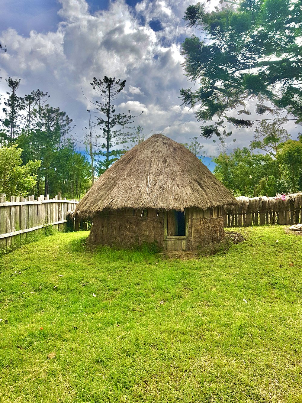 Casa de madera marrón en campo de hierba verde