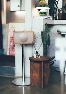 A retro-style radio stands on a sleek metal stand next to a small wooden table. A cactus plant adds a touch of greenery, positioned beside the table and supported by a stone wall. A green and white lampshade provides soft lighting, complementing the overall vintage and cozy atmosphere.