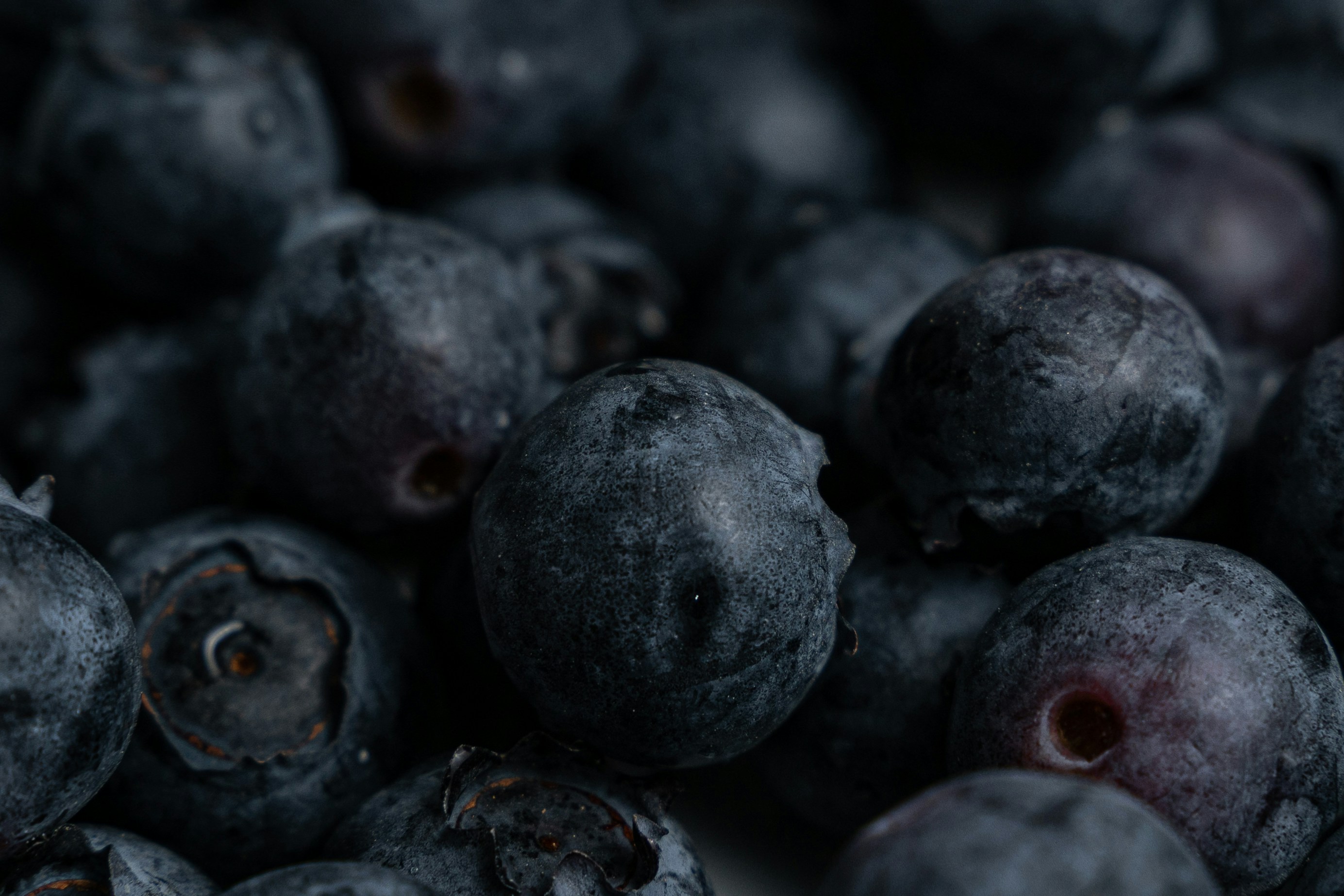 black round fruits in close up photography