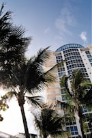 The La Jolla condominium complex exterior with palm trees swaying under a clear blue sky.