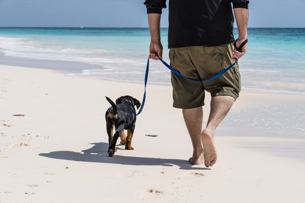 man in black t-shirt and brown shorts standing on beach with black and tan short