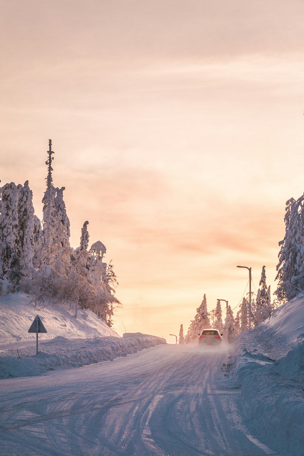 snow covered trees and houses during daytime