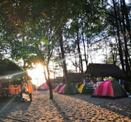 people sitting on camping chairs near tent and trees during daytime