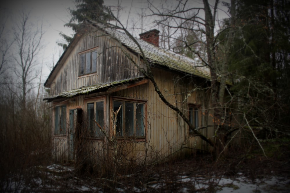 brown wooden house near bare trees during daytime