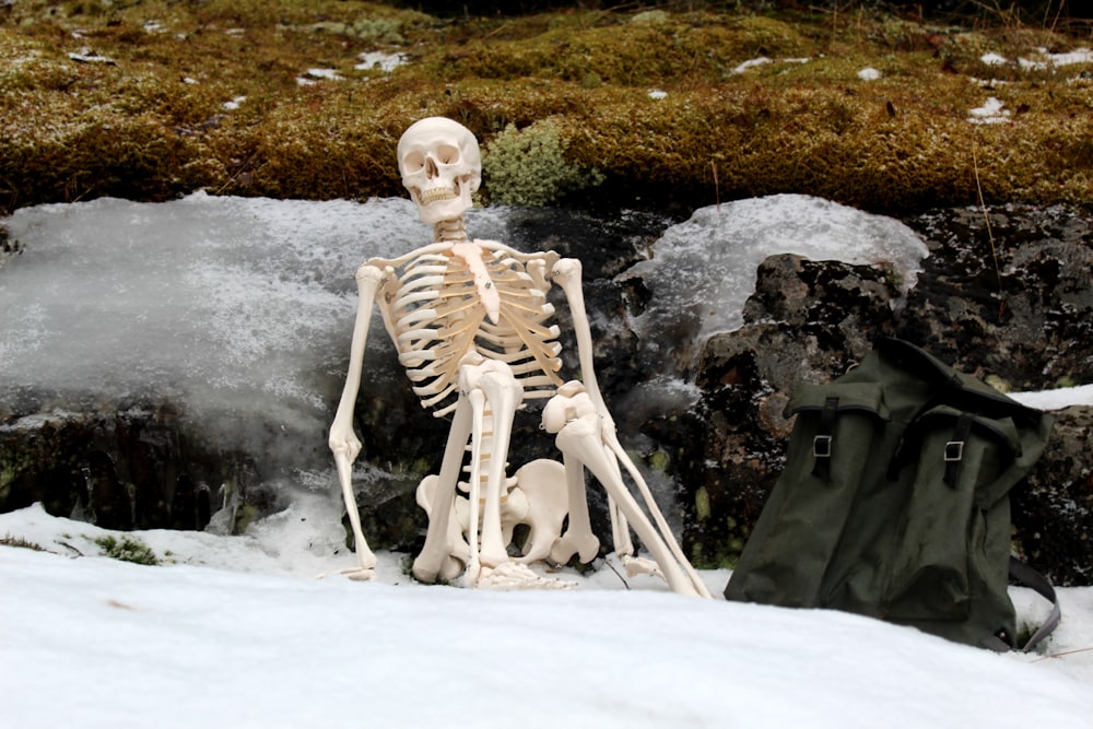 figurita de cerámica blanca sobre nieve blanca