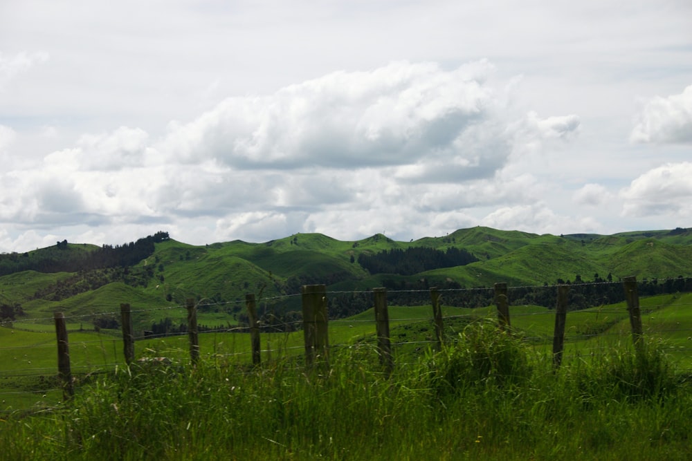 green grass field under white clouds during daytime