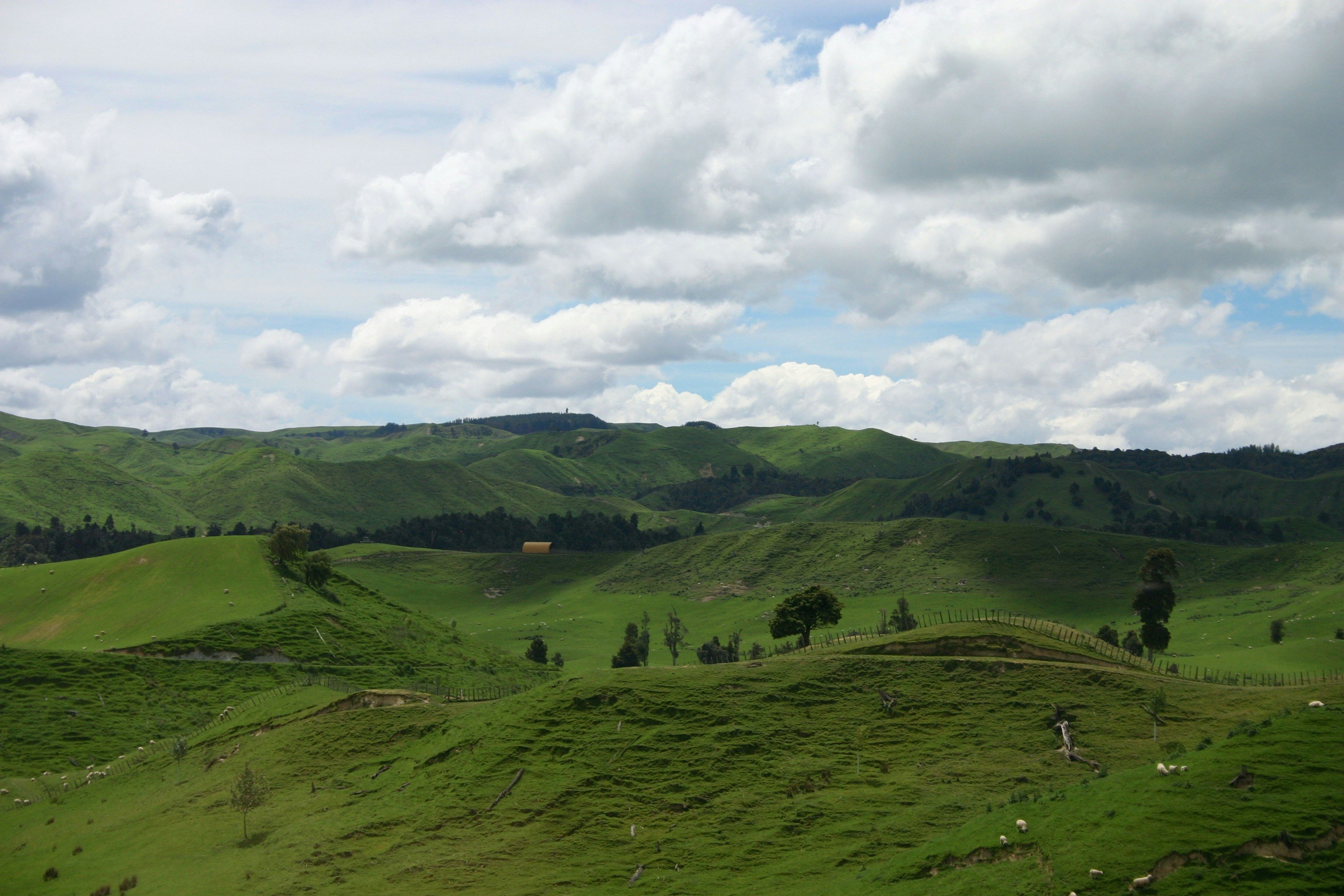 Photo by picsbyjameslee