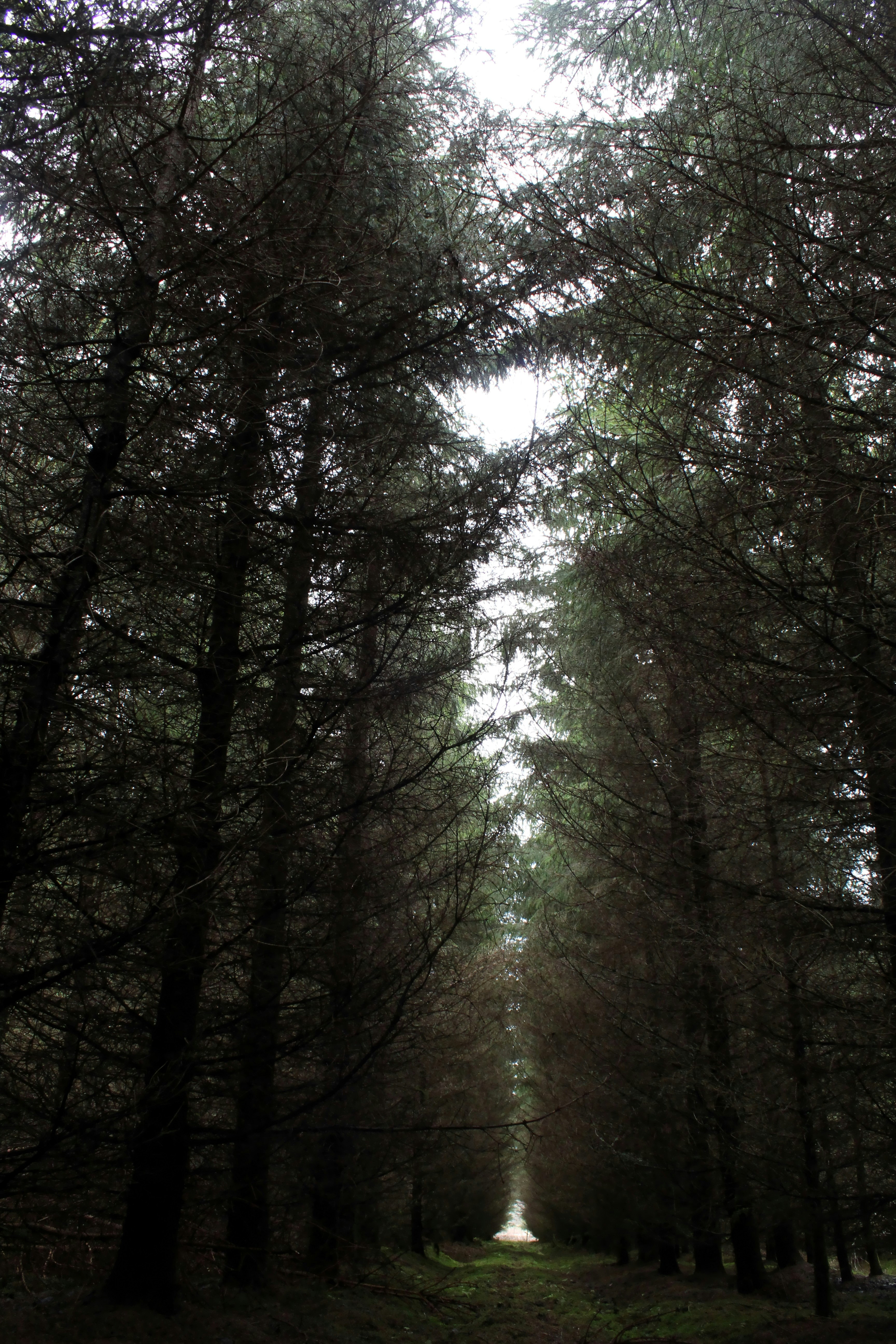 Photo by polarmermaid