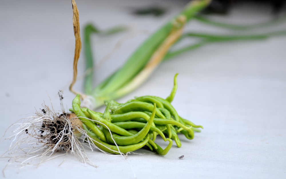 green string beans on white textile