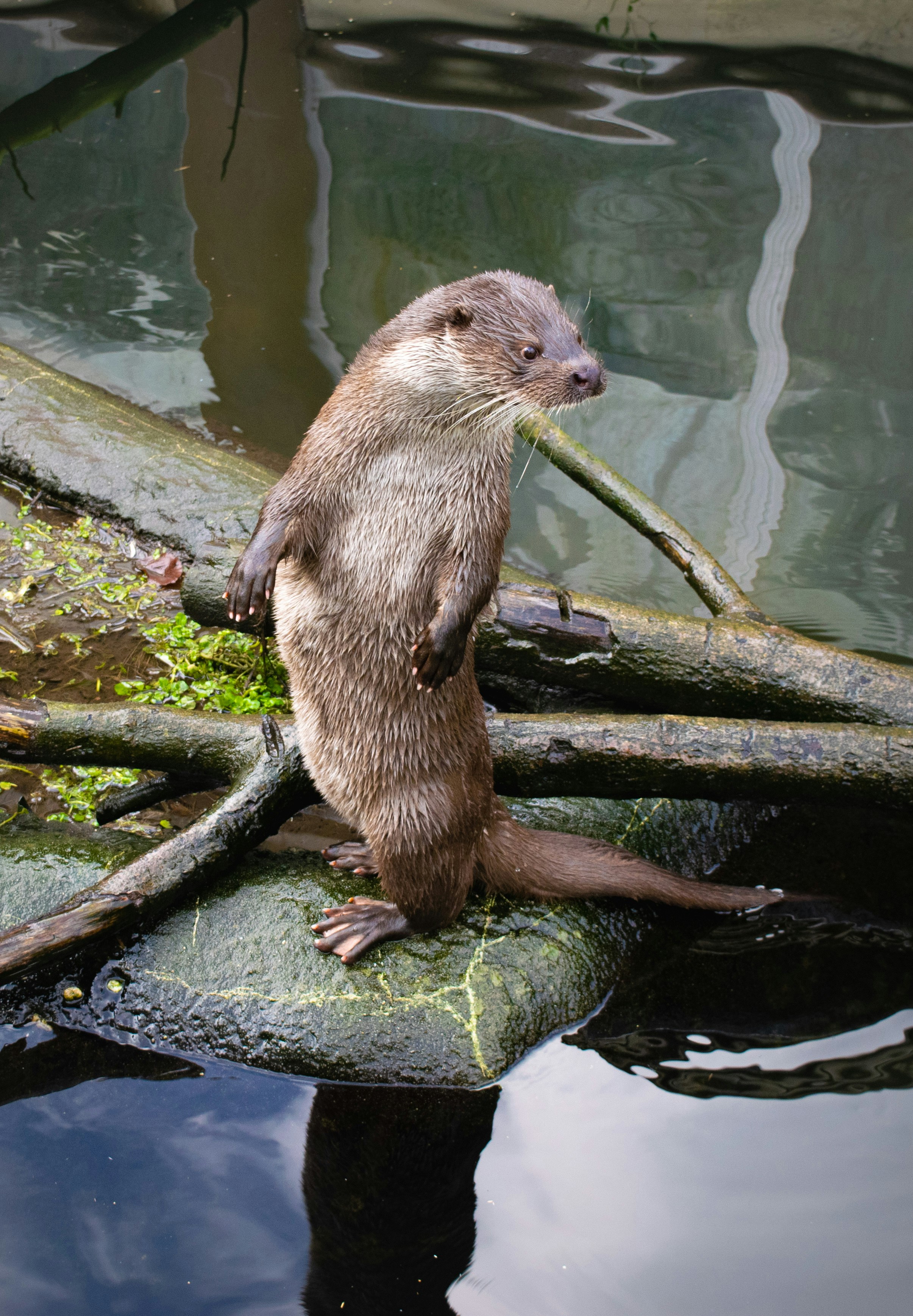 Photo by danielhouwing