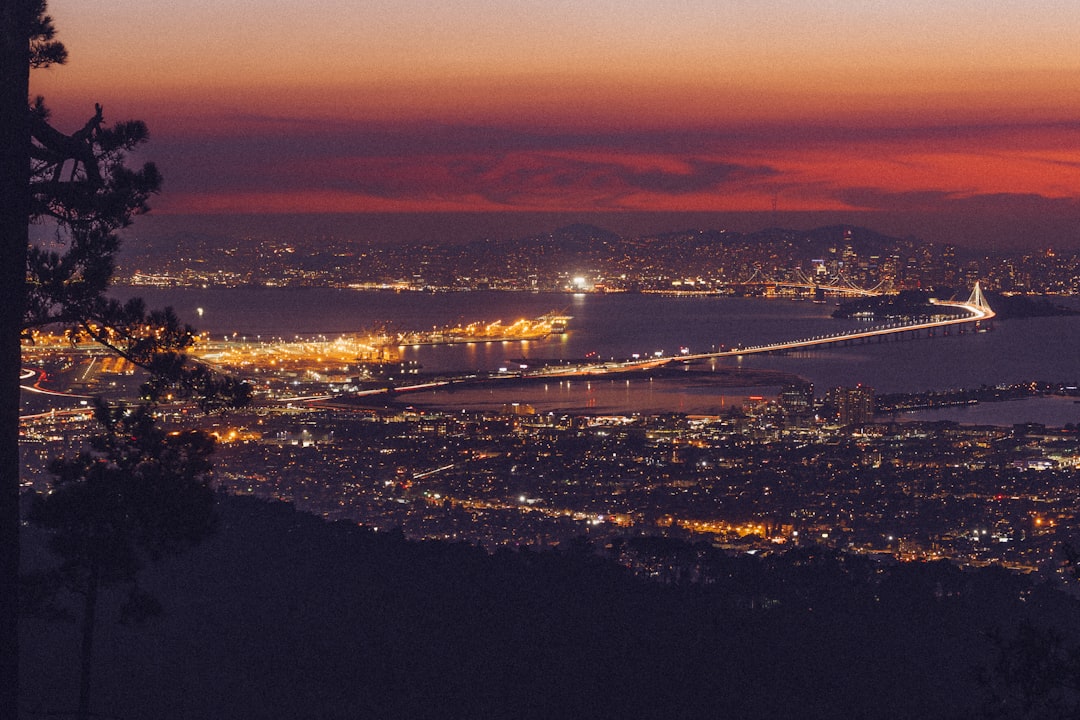 city skyline during night time