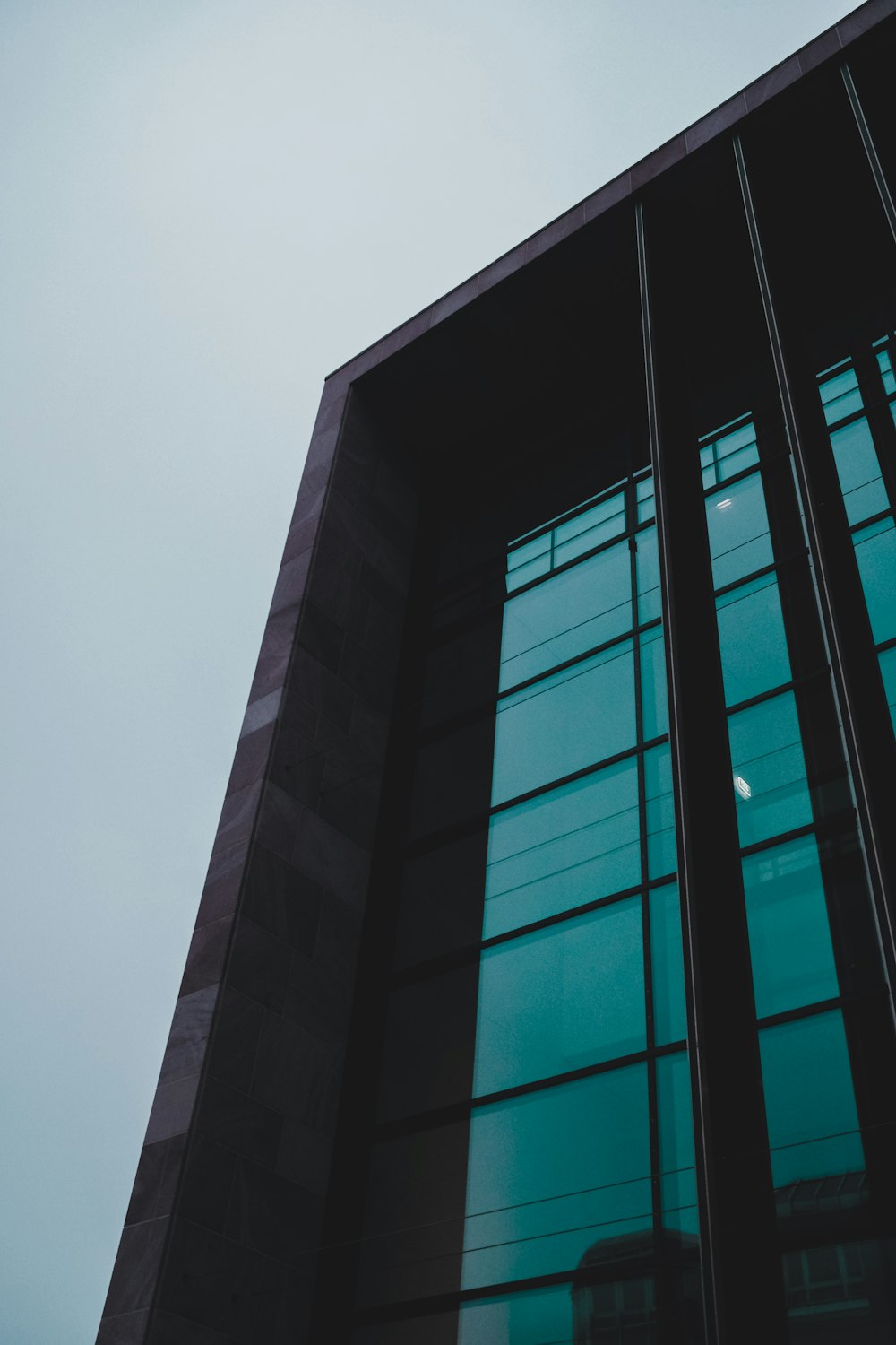 black and blue glass walled building