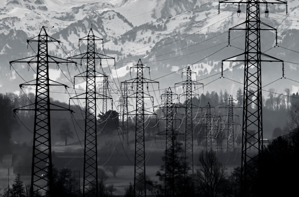 Black and white image, many electrical towers in the foreground, forest and mountains in the background