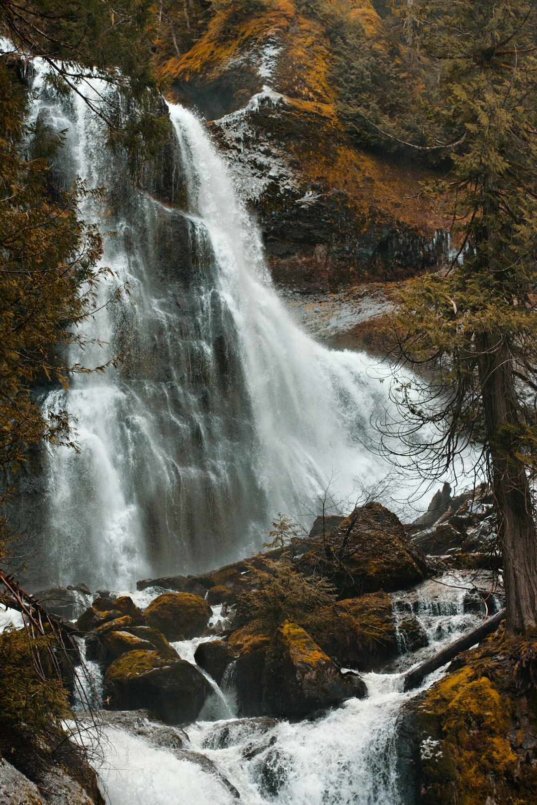 waterfalls in the middle of forest