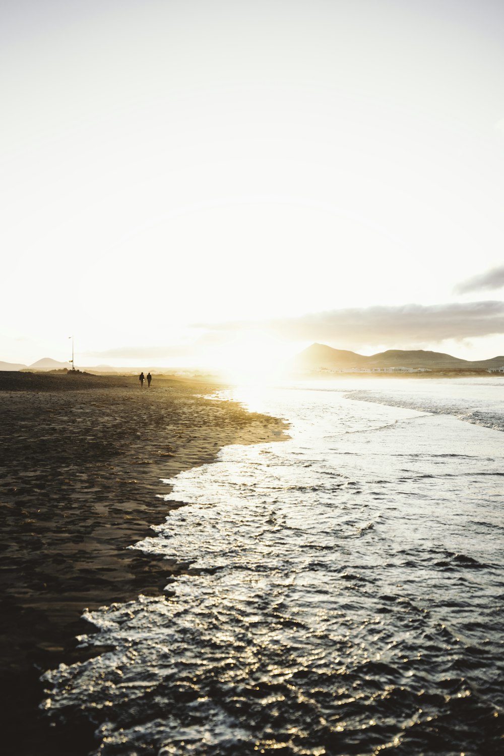 people on beach during sunset