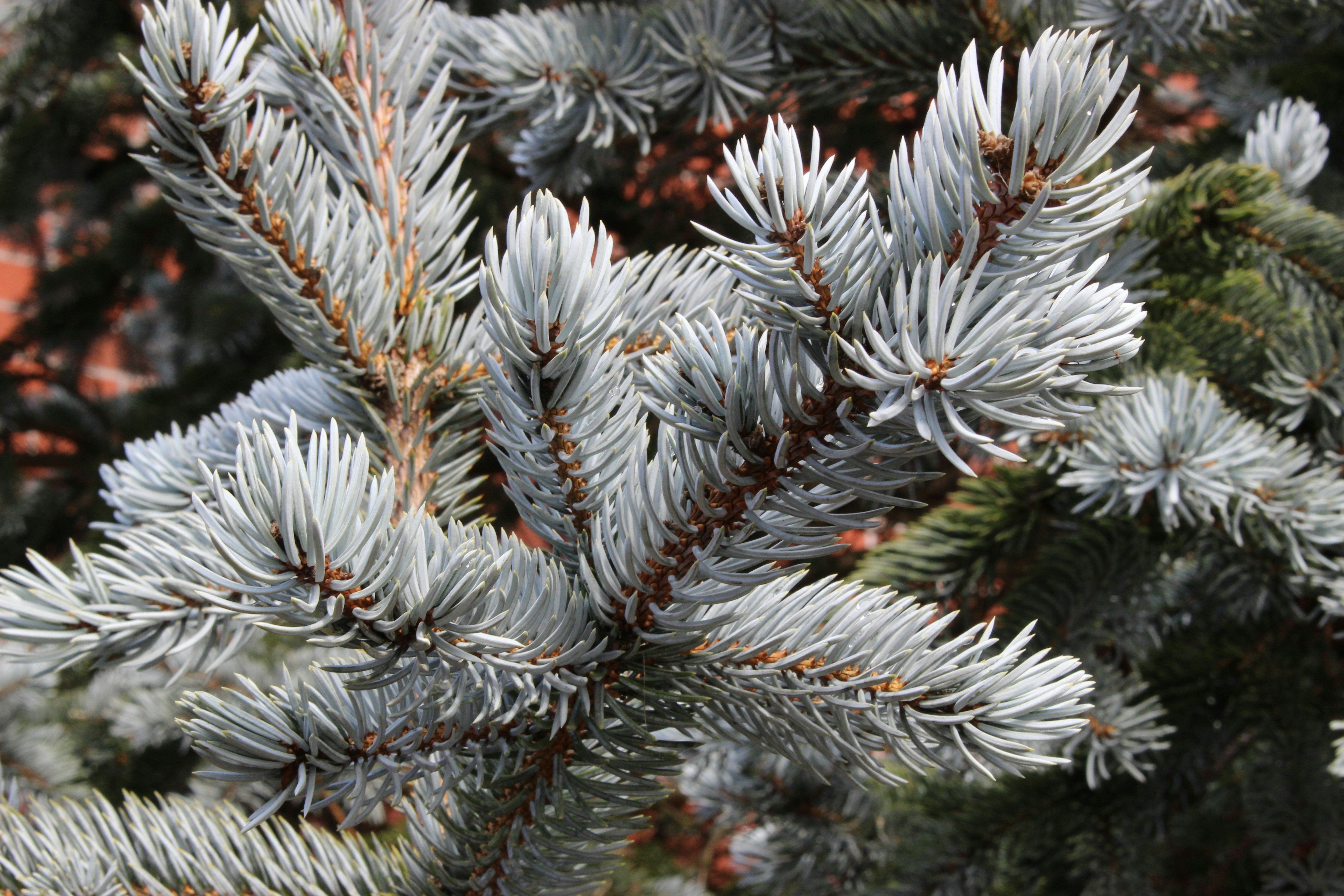 Photo by ben_vaughn_189