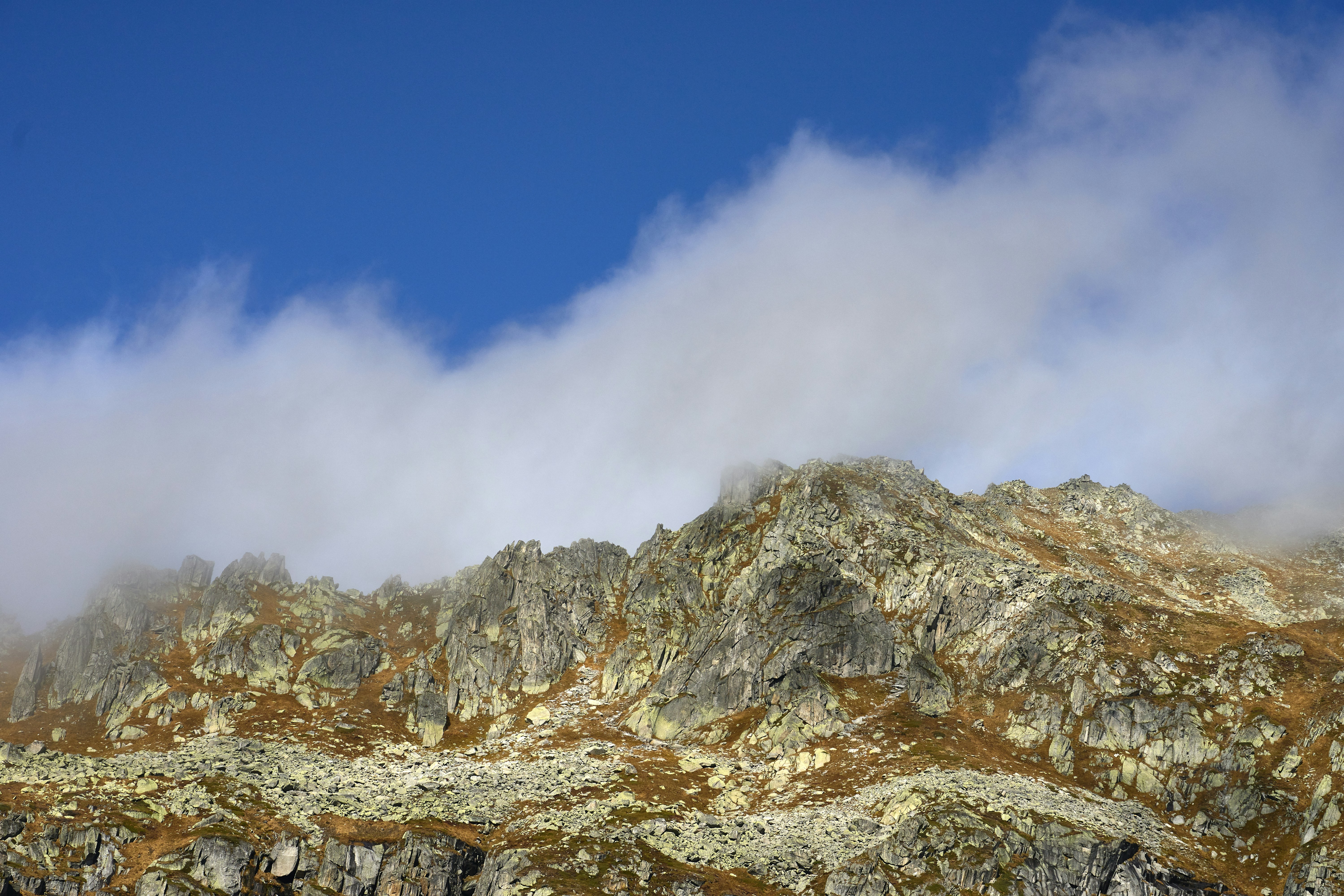 Photo by wolfgang_hasselmann