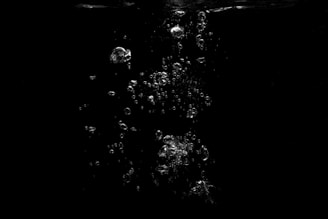 water droplets on black and white