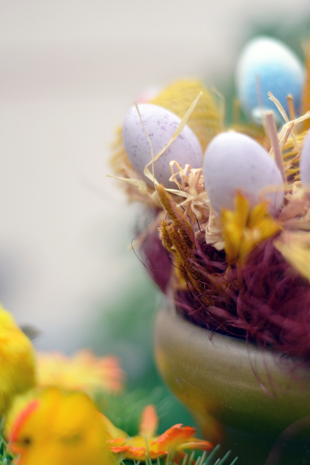 white and yellow flower in close up photography