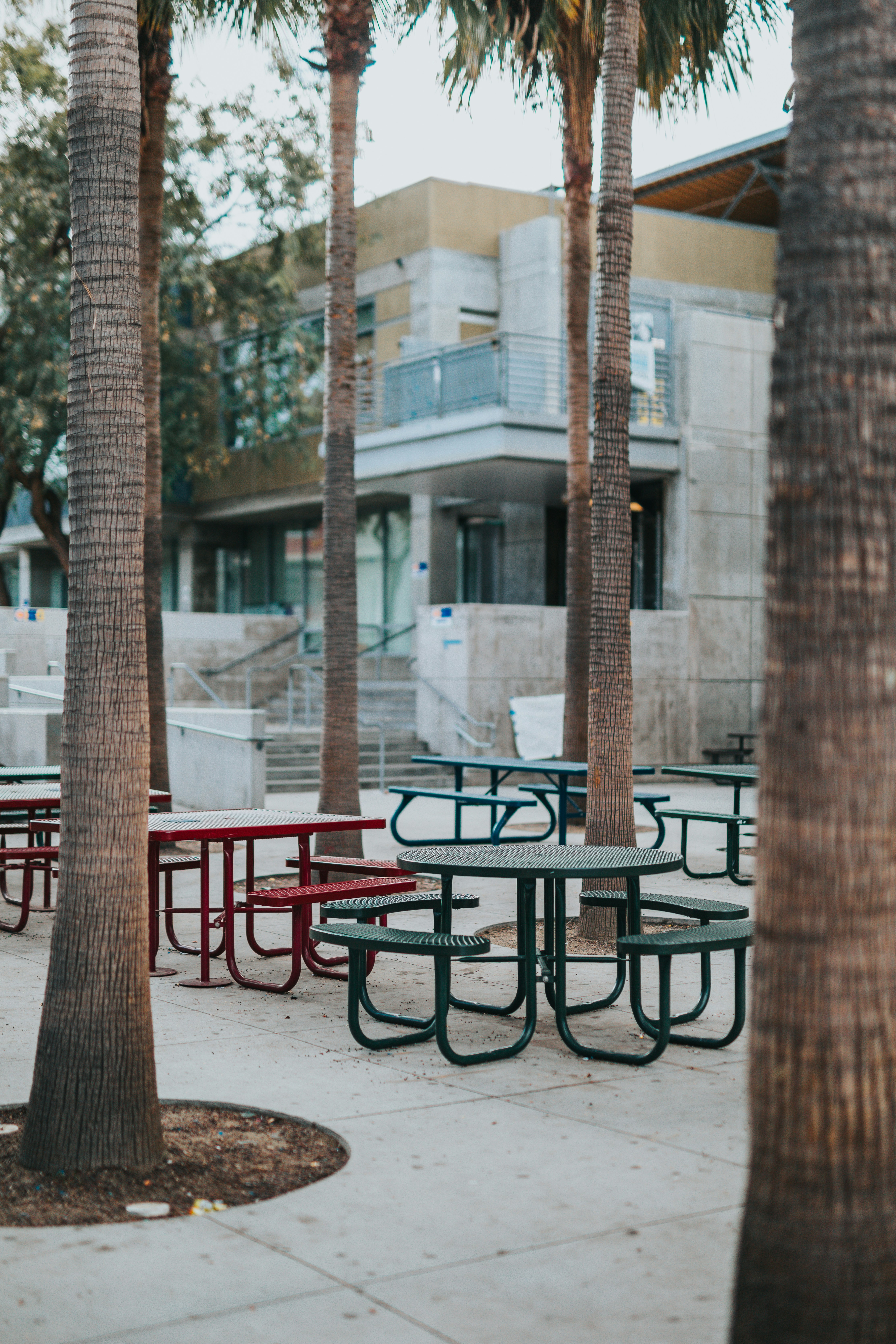 Practical Guide: Transitioning Student Dining to Plant‑Forward Menus on Campus (2026)