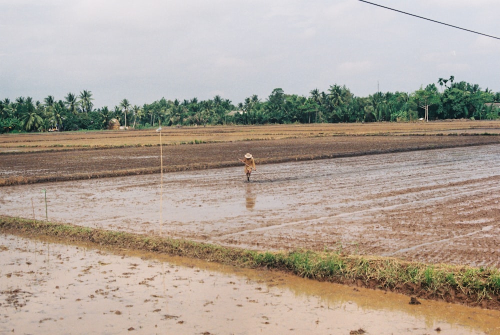 person in brown shorts walking on brown field during daytime