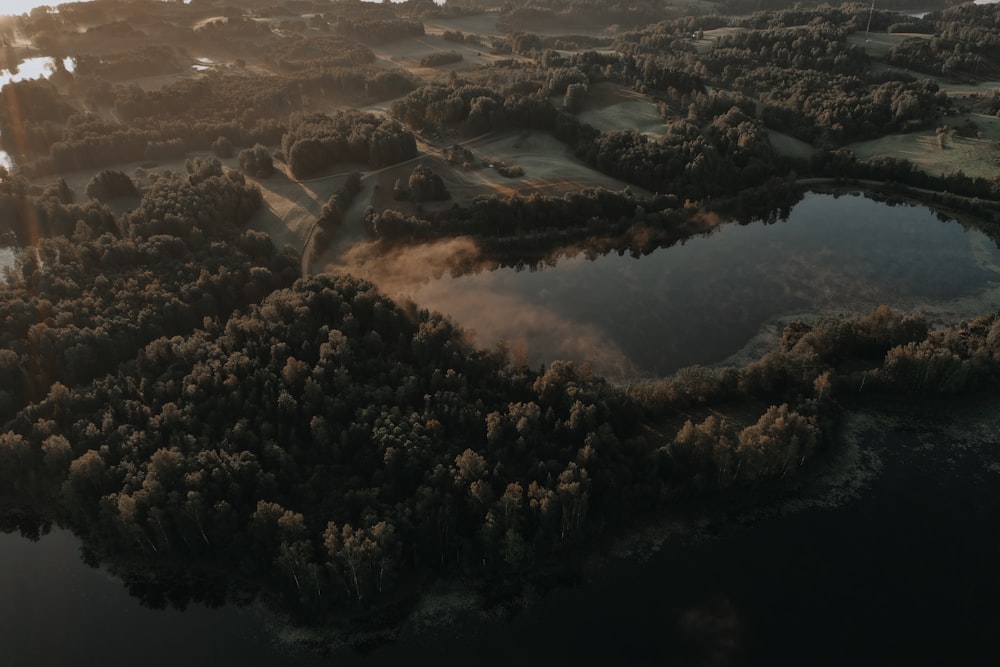 aerial view of trees and mountains