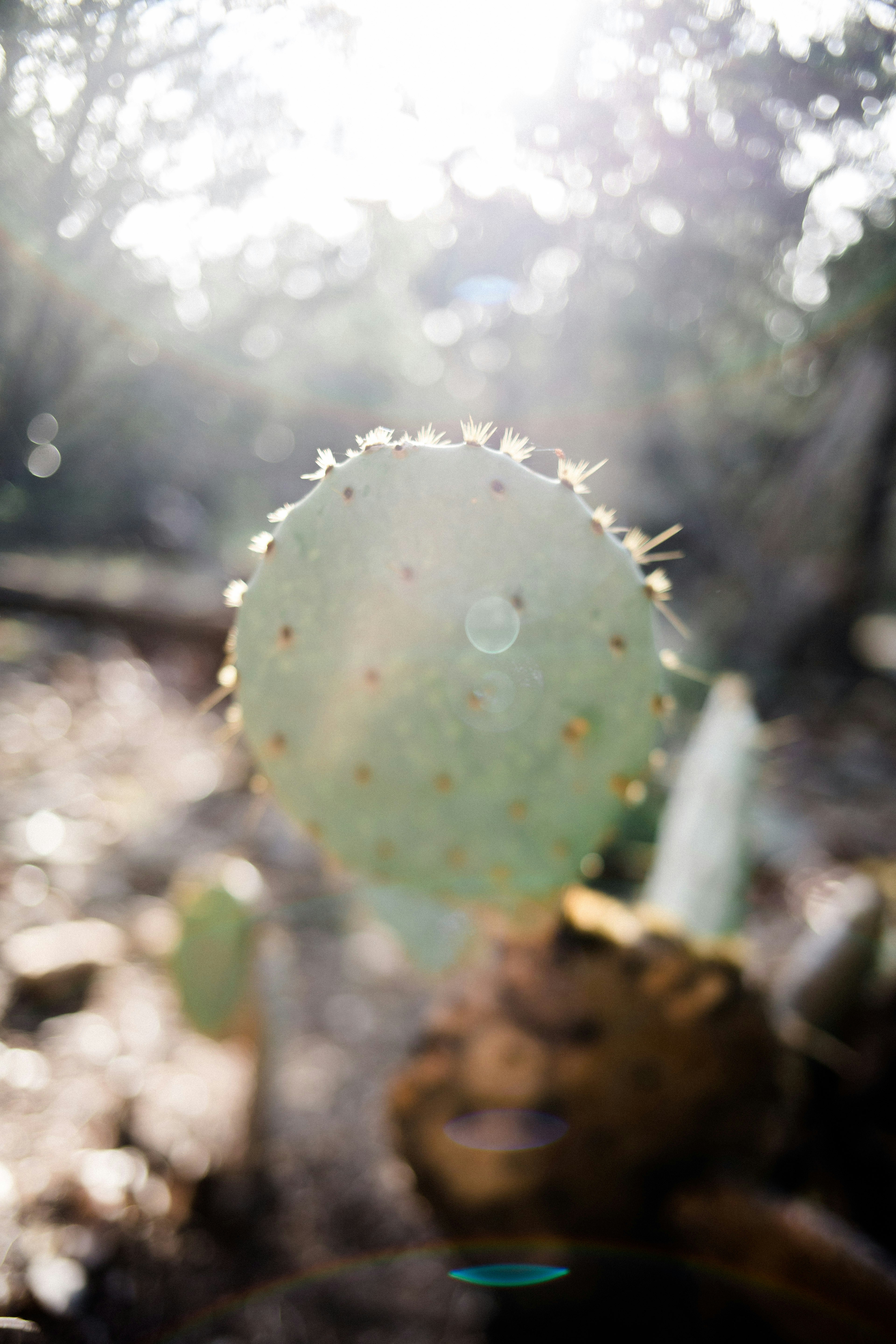 Photo by kayliejphoto