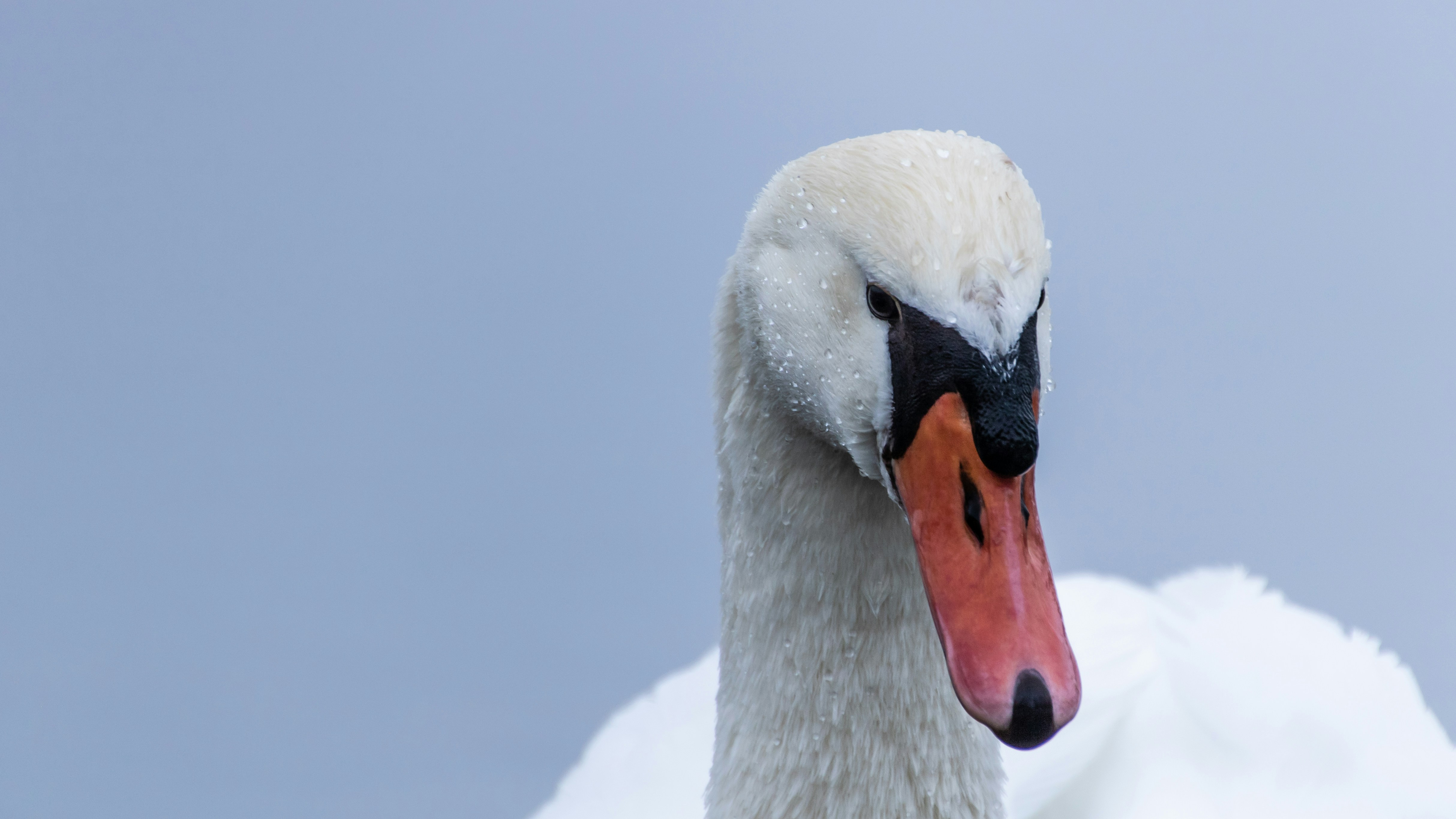 Photo by raquelrgarc