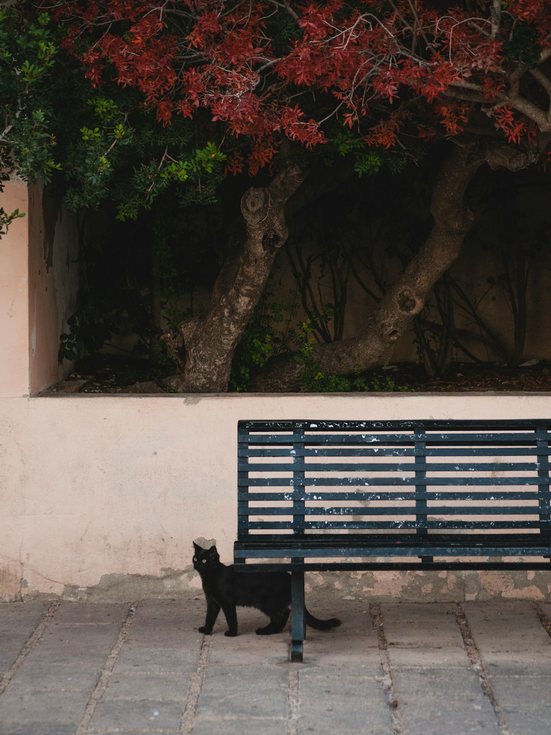 black wooden bench near white wall