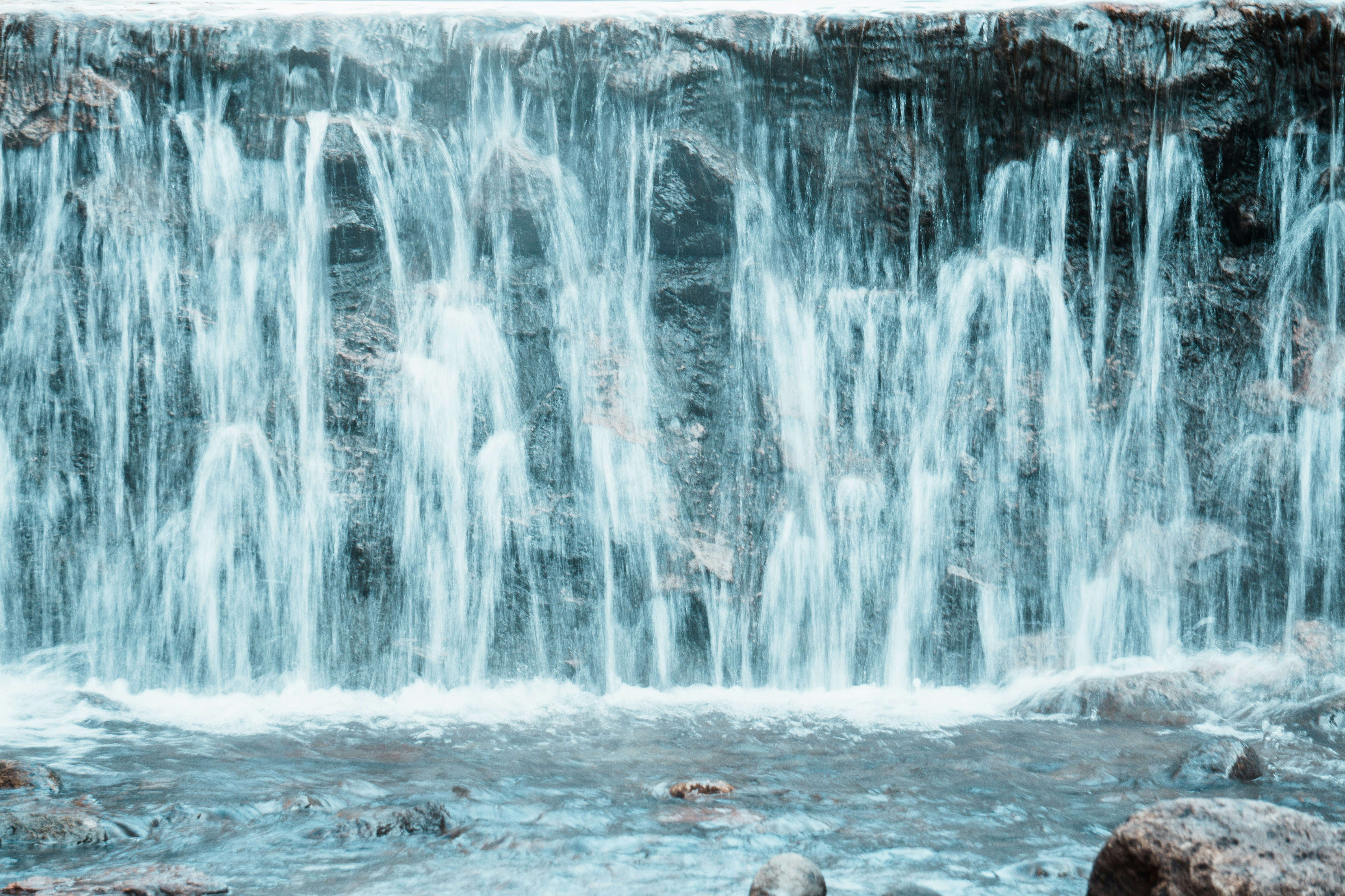 Photo by csolorzanoe