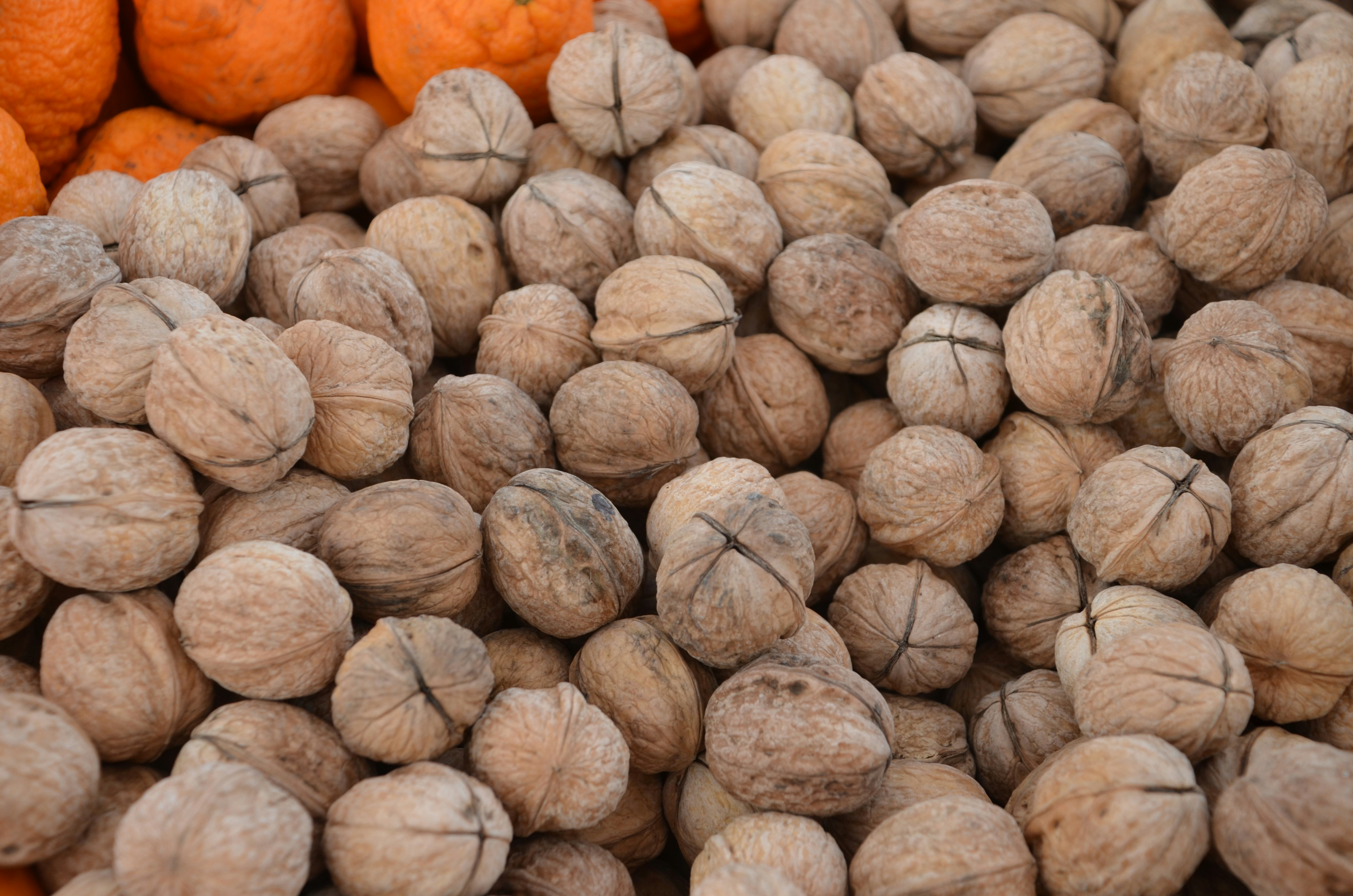 Photo by chapelbeach