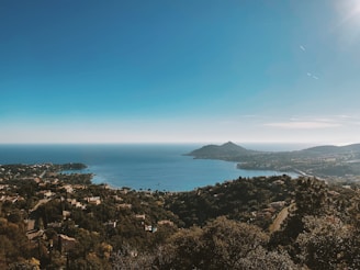 green trees near body of water during daytime